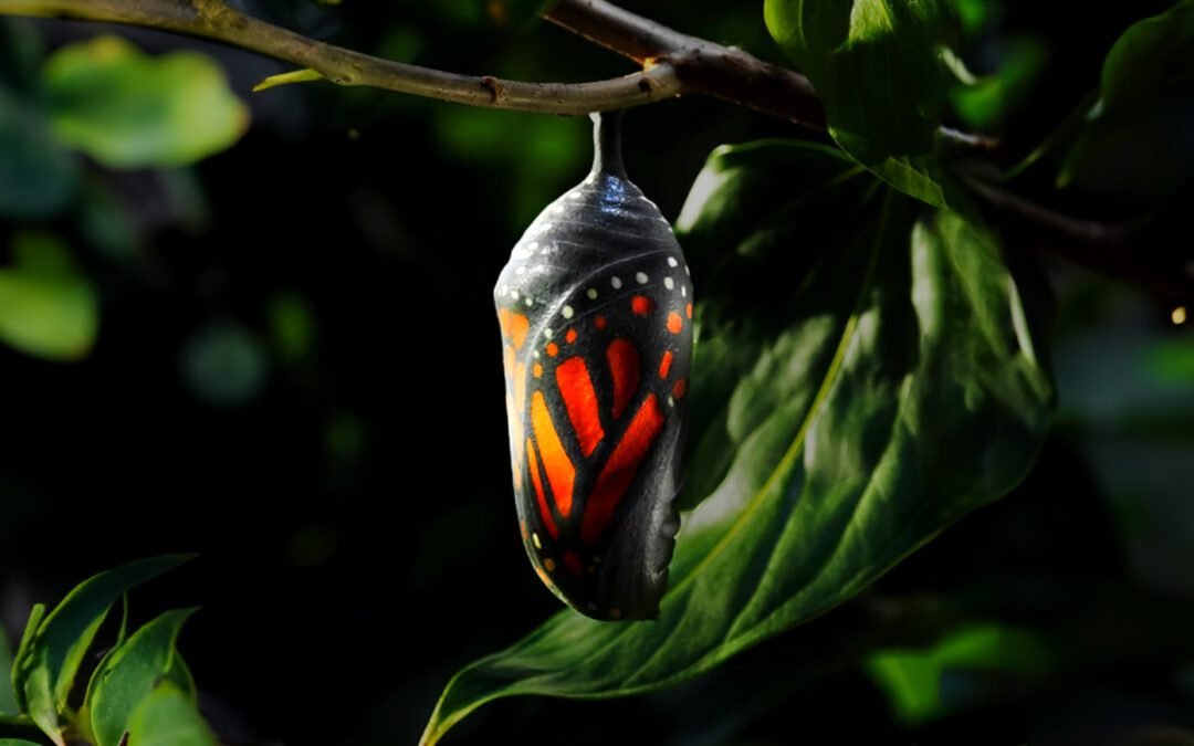 Winds of Change
